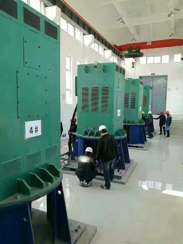 国营金鸡岭农场某污水处理厂使用我厂的立式高压电机安装现场